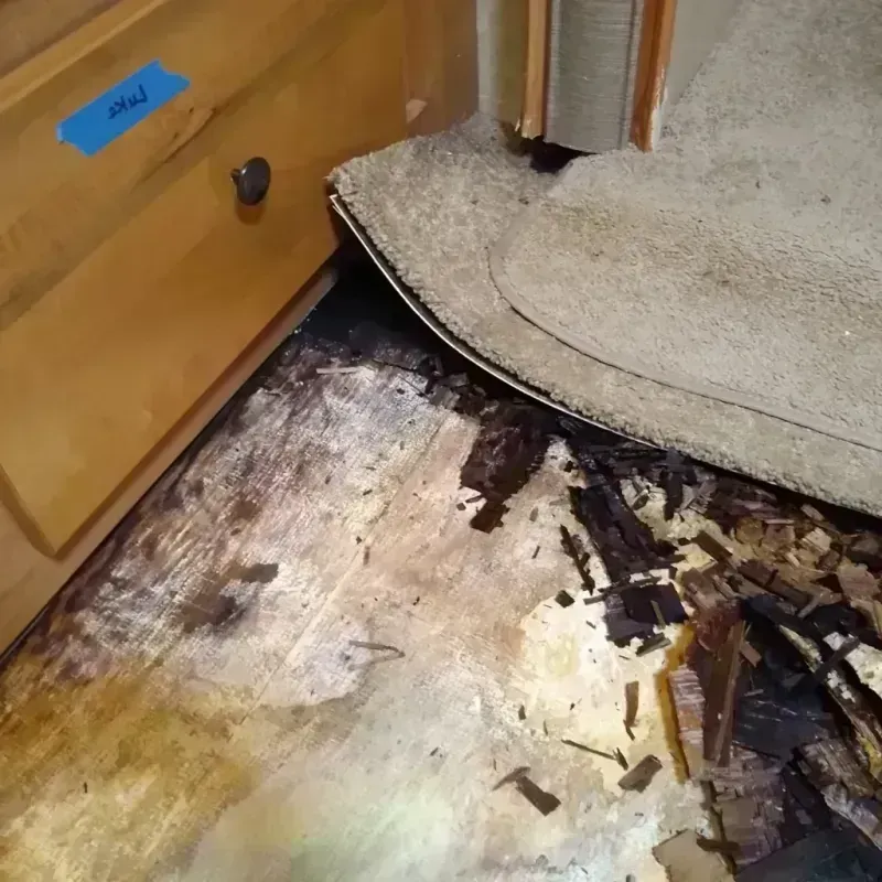 Wood Floor Water Damage in Lombard, IL